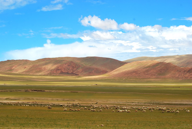 dsc_0115.jpg