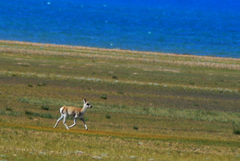dsc_0167.jpg