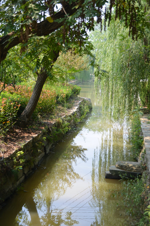 dsc_0262.jpg