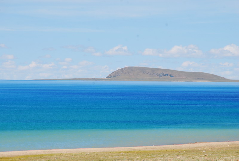 dsc_0259.jpg