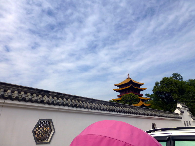 p1120817.jpg