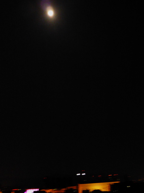 p1120844.jpg