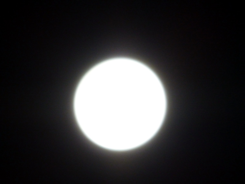 p1120853.jpg