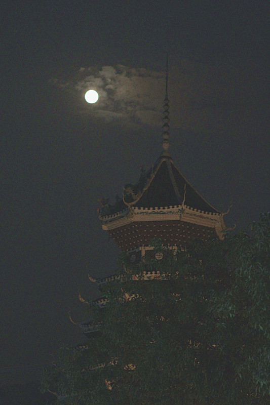 照片 031_副本.jpg