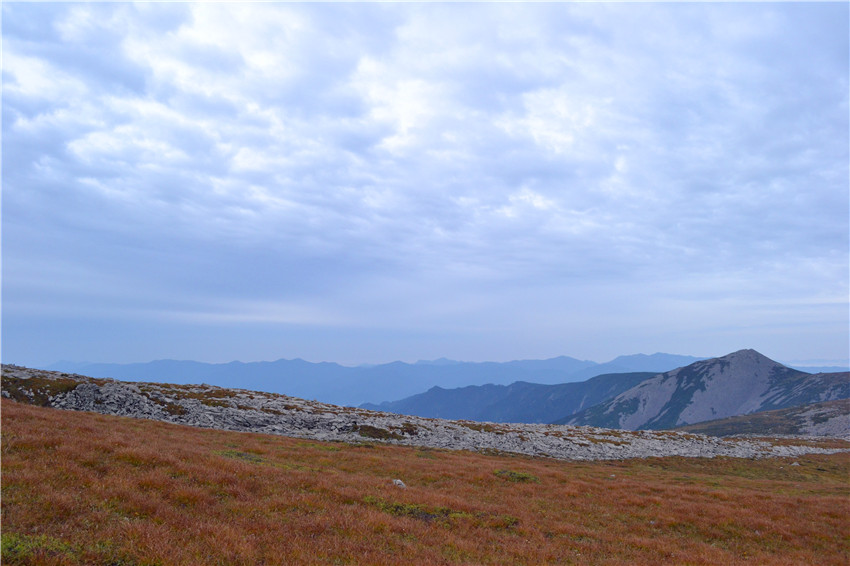 dsc_0381.jpg