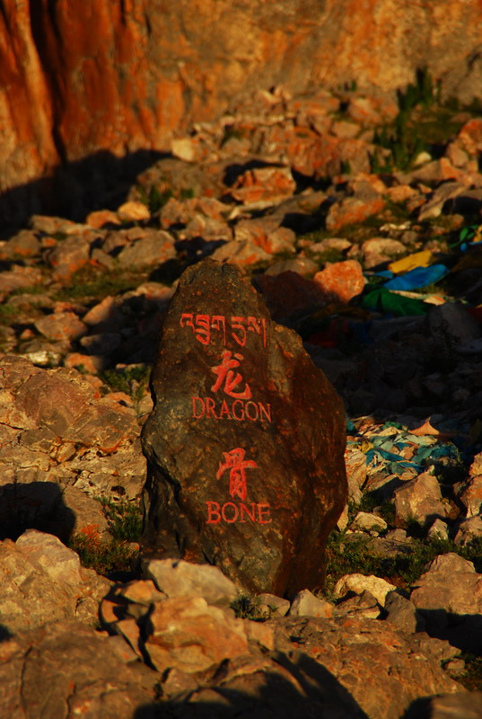 dsc_0388.jpg