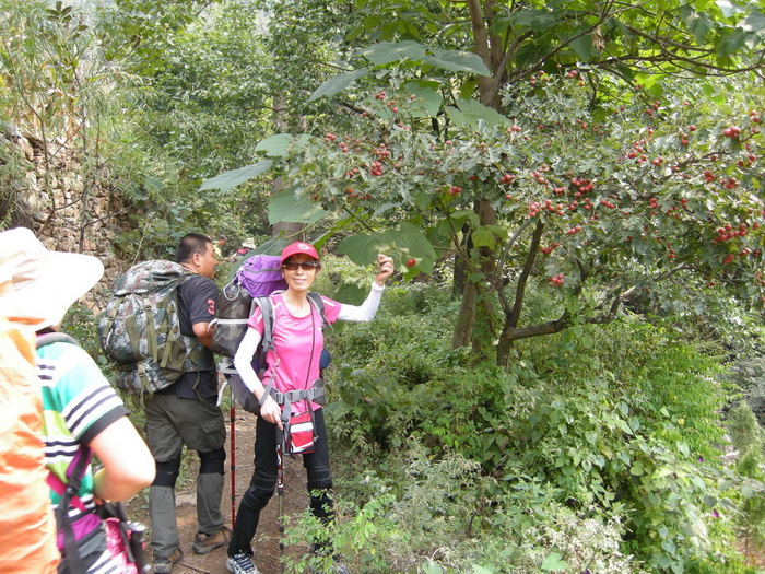 dscn9810.jpg