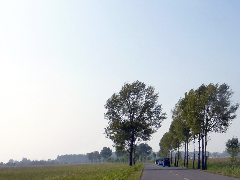 p1120265.jpg