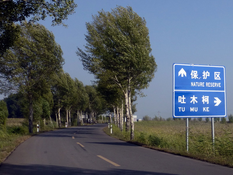 p1120268.jpg