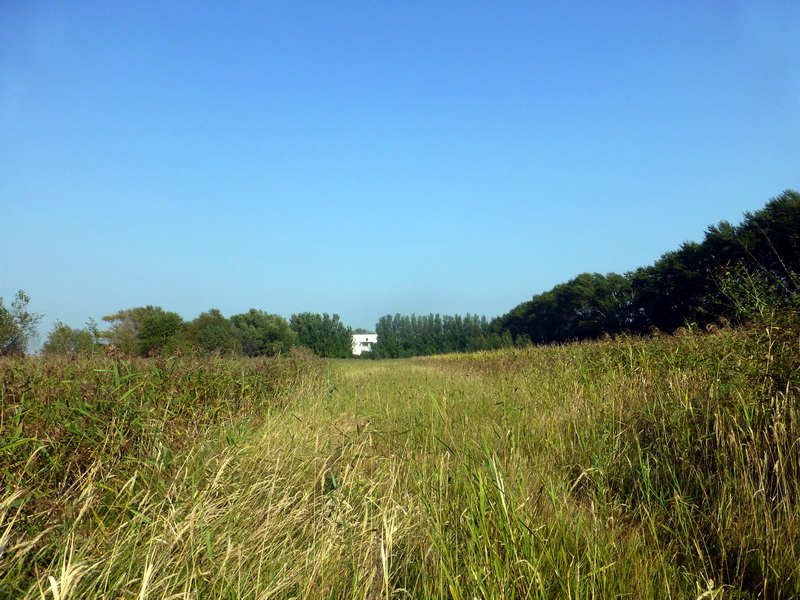 p1120276.jpg