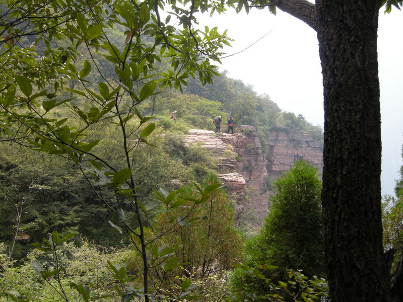 dscn9831.jpg