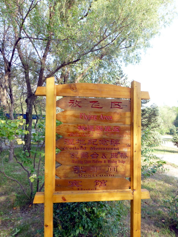 p1120284.jpg