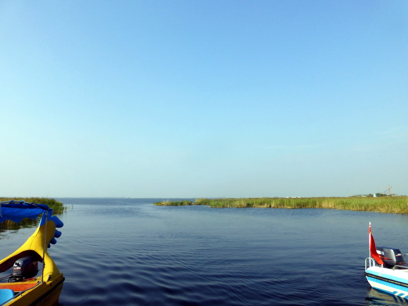 p1120300.jpg