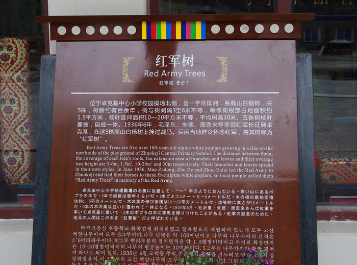 imgp0011a.jpg