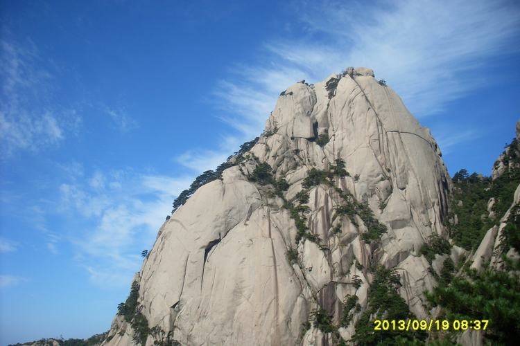 165831jc7oa9jmjbbmuldl.jpg.thumb.jpg