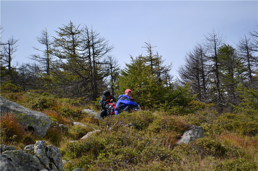 dsc_0406.jpg