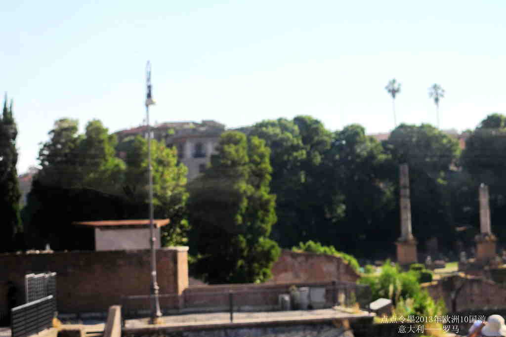 img_8739_.jpg