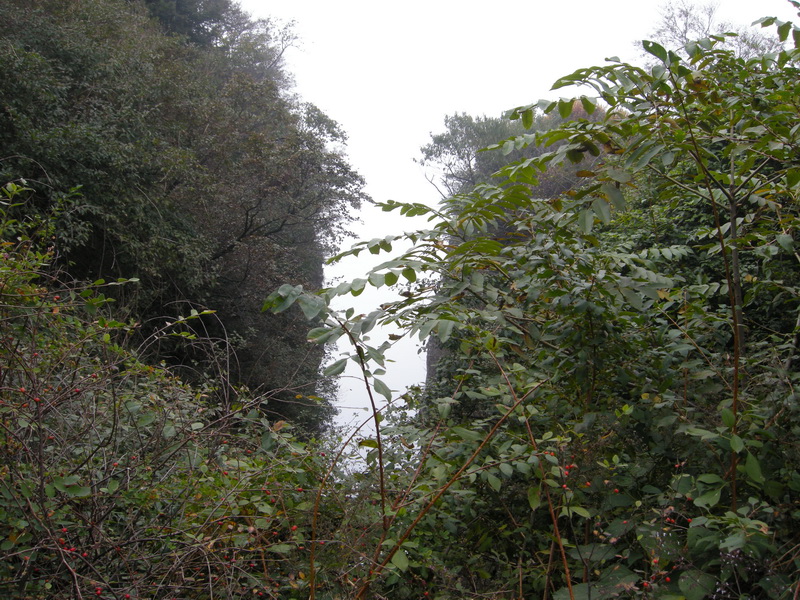 dscn0045.jpg