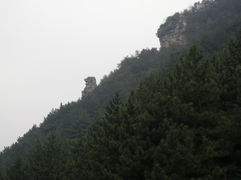 dscn0119.jpg
