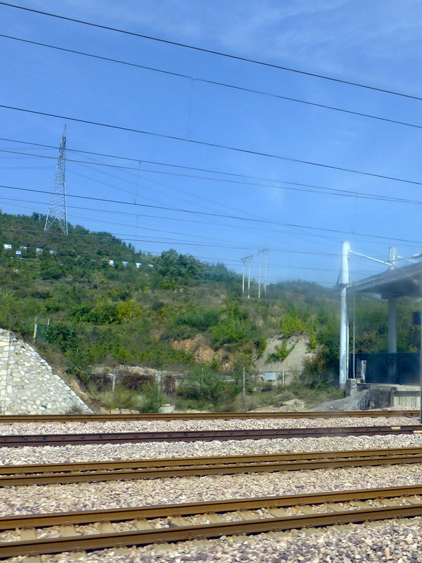 p1120957.jpg