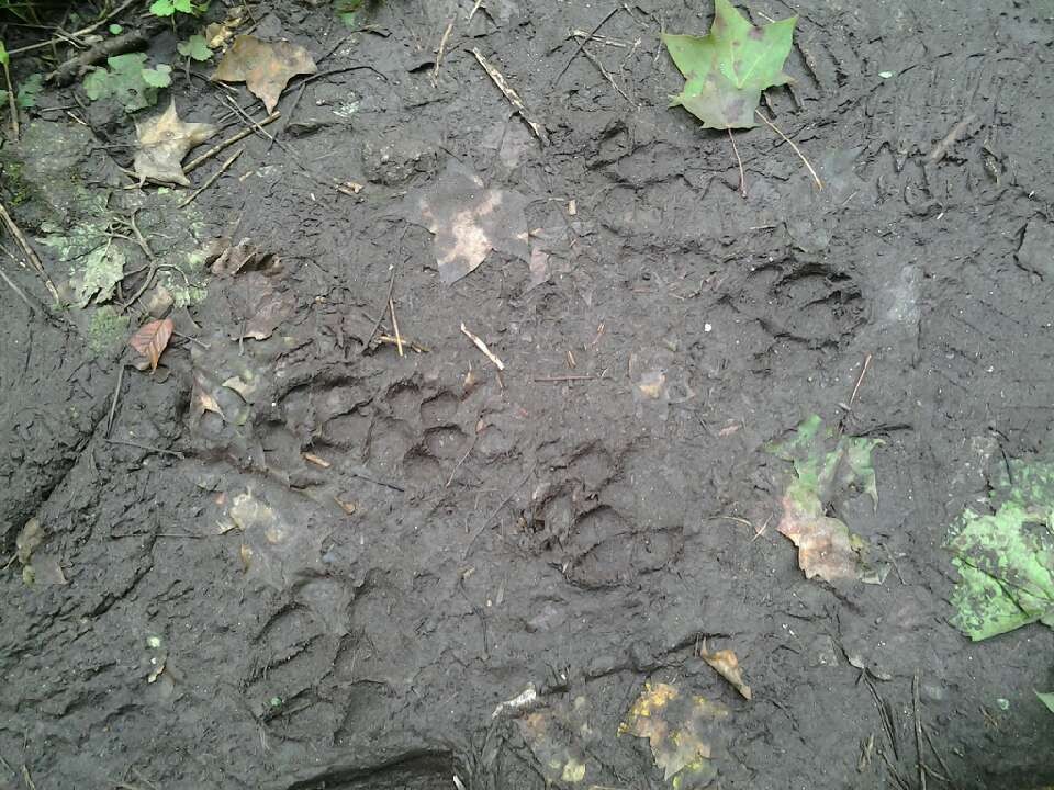 201392110185263773.jpg