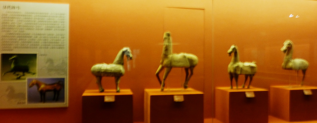 p1120989.jpg