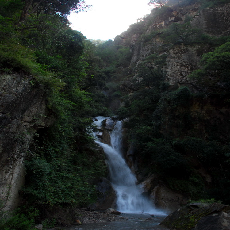dsc_0033.jpg