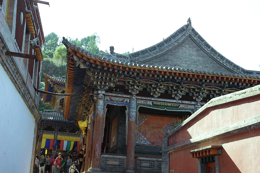 sam_0858.jpg