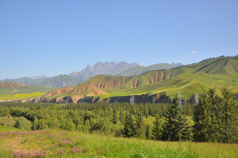 dsc_0374_.jpg