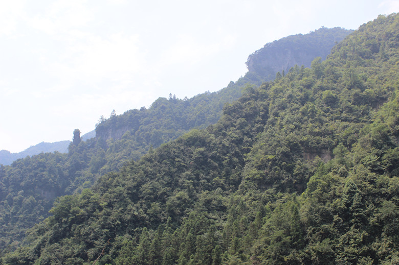 北纬30度百溪河-北溪河 149_副本.jpg