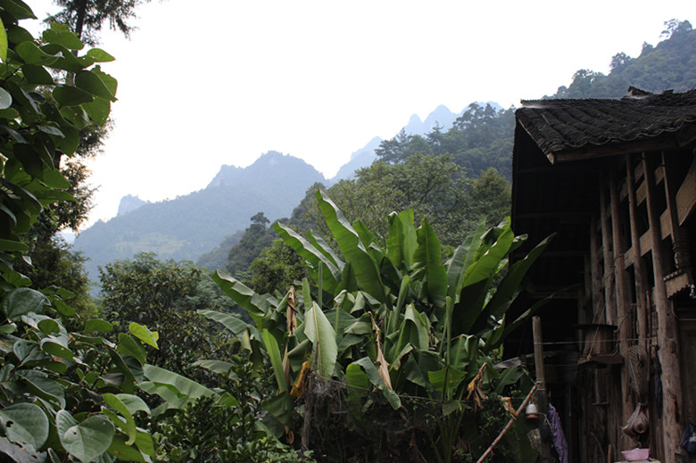 北纬30度百溪河-北溪河 155_副本.jpg