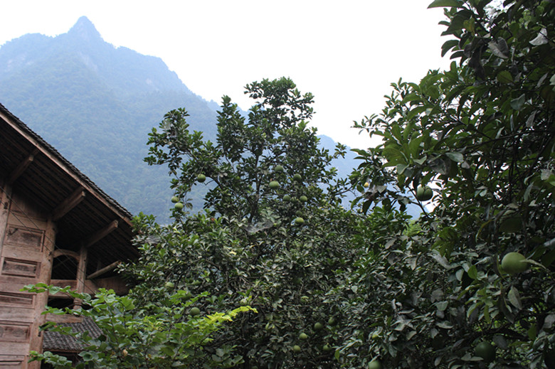 北纬30度百溪河-北溪河 157_副本.jpg