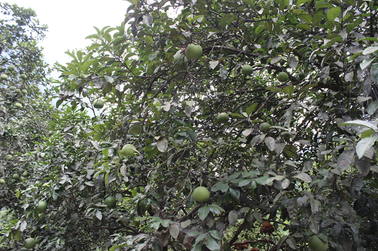 北纬30度百溪河-北溪河 158_副本.jpg