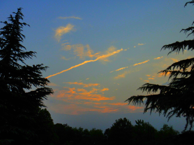 ds1c01260_.jpg
