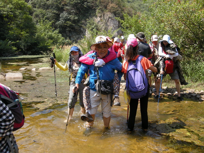 dscn9533.jpg