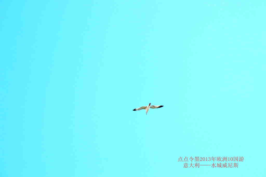 img_7823_.jpg
