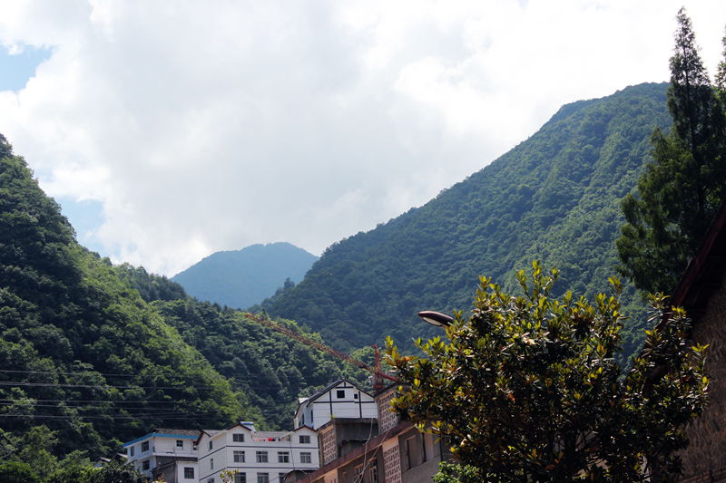 img_3925.jpg