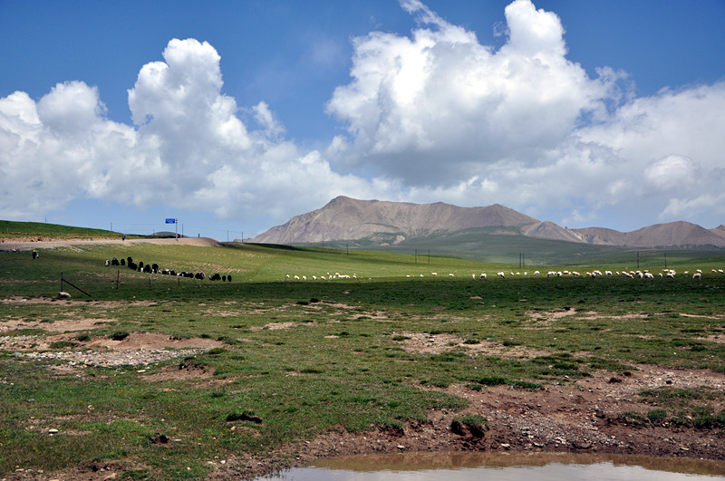 dsc_0426_.jpg