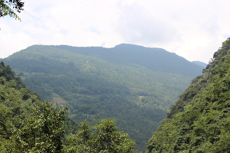 北纬30度百溪河-北溪河 214_副本.jpg