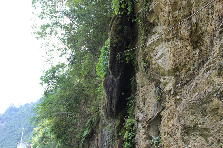北纬30度百溪河-北溪河 226_副本.jpg