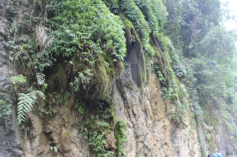 北纬30度百溪河-北溪河 227_副本.jpg