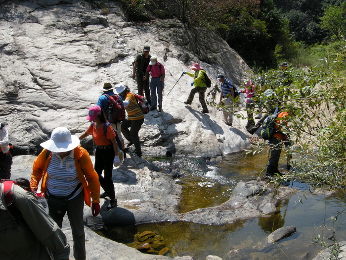 dscn9560.jpg