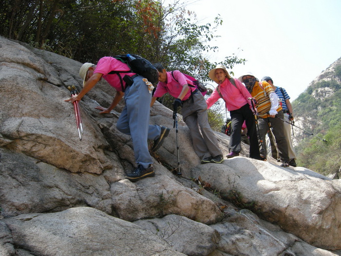 dscn9565.jpg