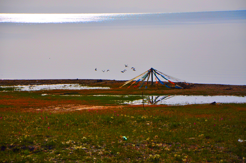dsc_0460_.jpg