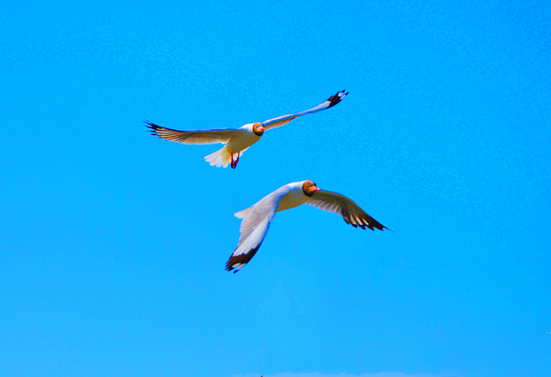 dsc_0464_.jpg