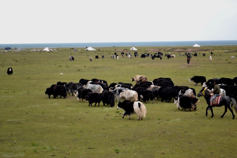 1 227_conew1.jpg