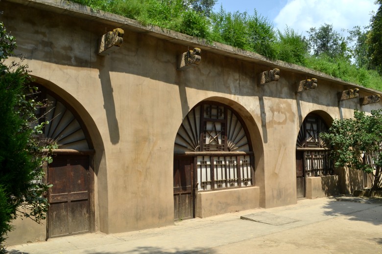 dsc_0050_conew1.jpg