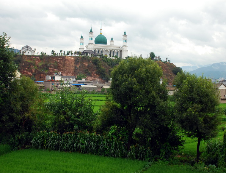 dsc_0265.jpg