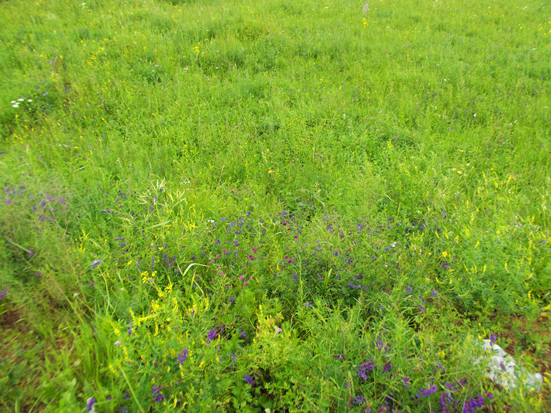 dscf3046_.jpg