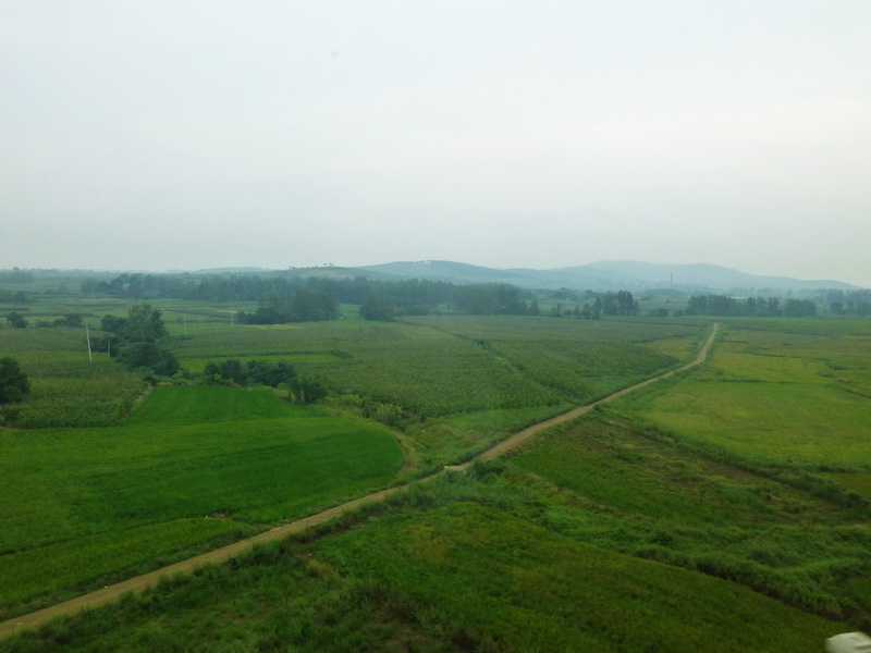 p1110660.jpg